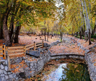 قالیشویی در وکیل آباد مشهد