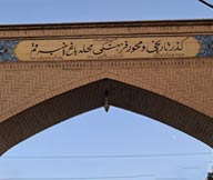 قالیشویی در عماریاسر قم