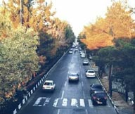 قالیشویی در بوعلی قم