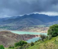 قالیشویی در طالقان 